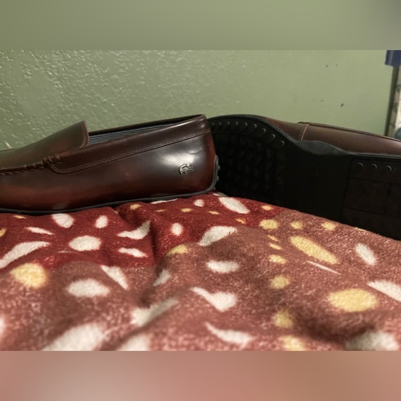 Lacoste loafers - Picture 2 of 2